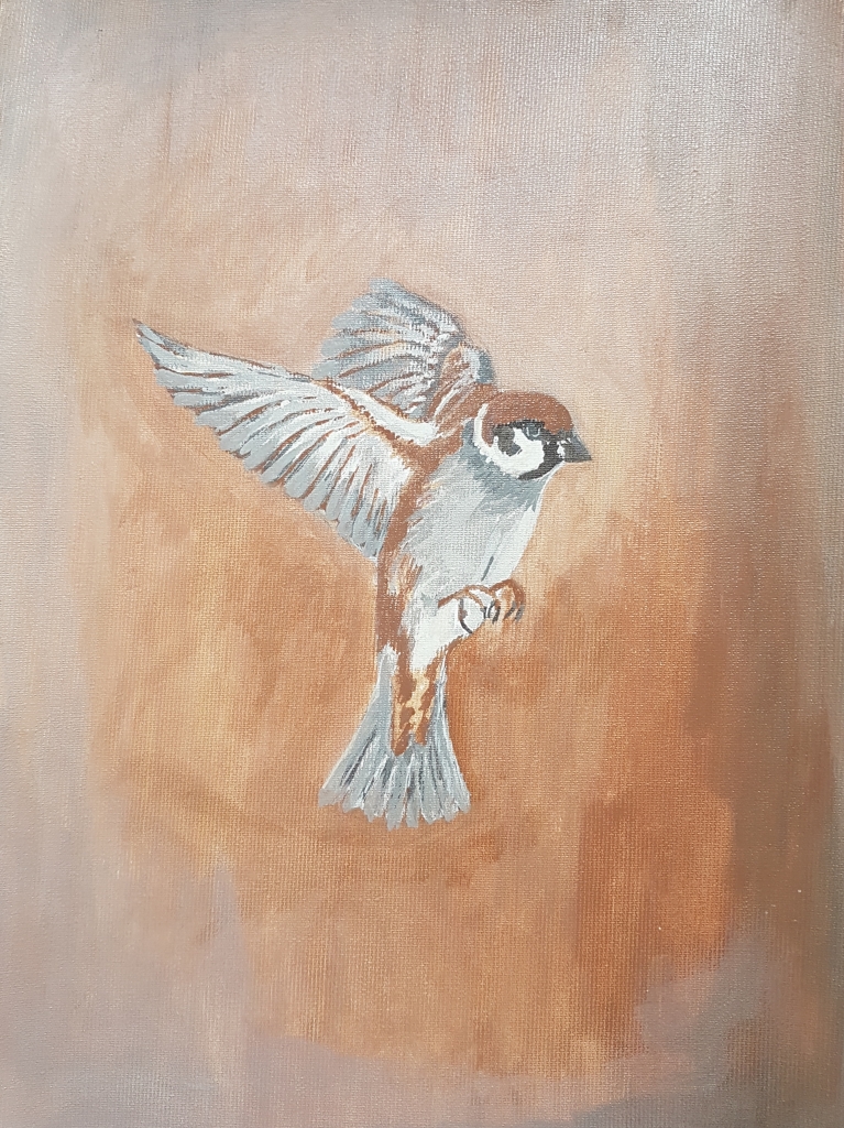 Juan+A.+Fernandez+Gomez-1961 (83).jpg